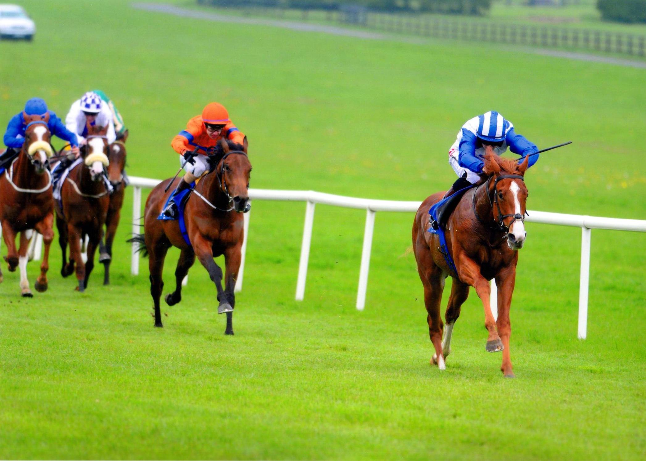 PSYCHEDELIC FUNK books his ticket to Royal Ascot after an impressive win at Naas 11 May 2016